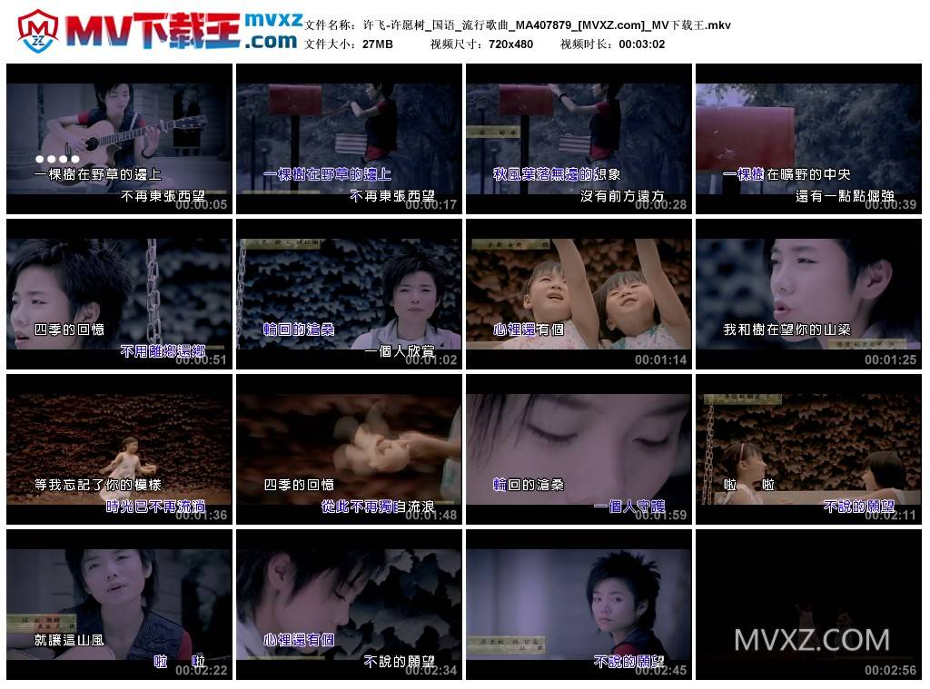 许飞-许愿树_国语_流行歌曲_MA407879